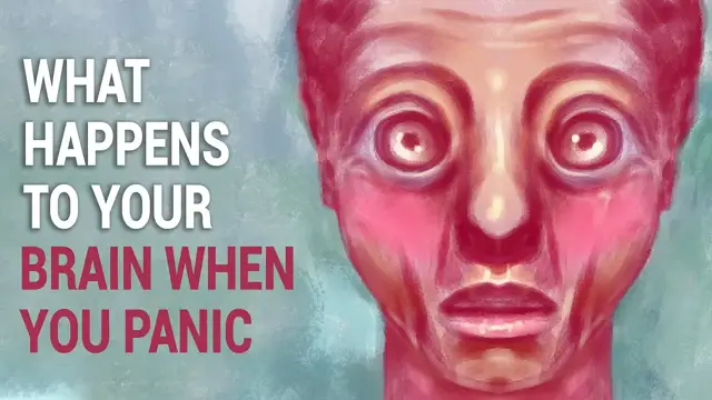 'Video thumbnail for Science Explains What Happens to Your Brain When You Panic'
