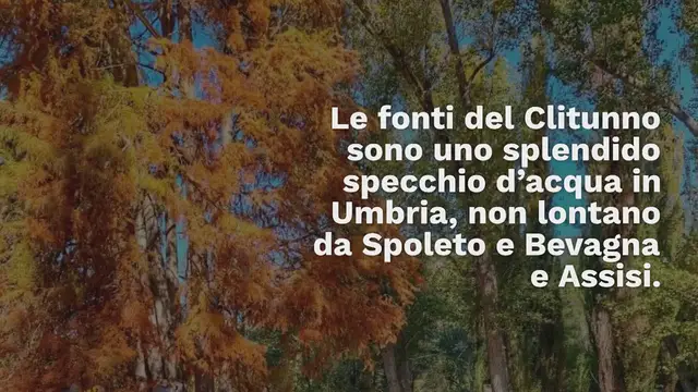 Video thumbnail for FONTI DEL CLITUNNO: TUTTO QUELLO DA SAPERE LA PRIMA VOLTA