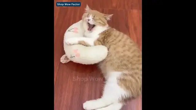 Video thumbnail for 😺🌟 Snuggle Up with Your Feline Friend! 🛌🐾 Cat Lovely Cozy Pillow || Link is in Description || #USA