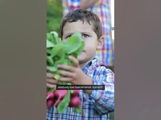 Video thumbnail for Potted Veggie Garden Easy Growers 1 #pottedplants #pottedgarden  #gardening  #greenthumb