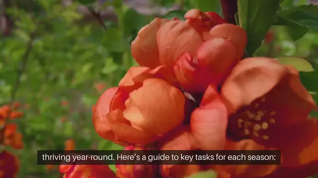 Video thumbnail for Essential Gardening Tasks for Each Season