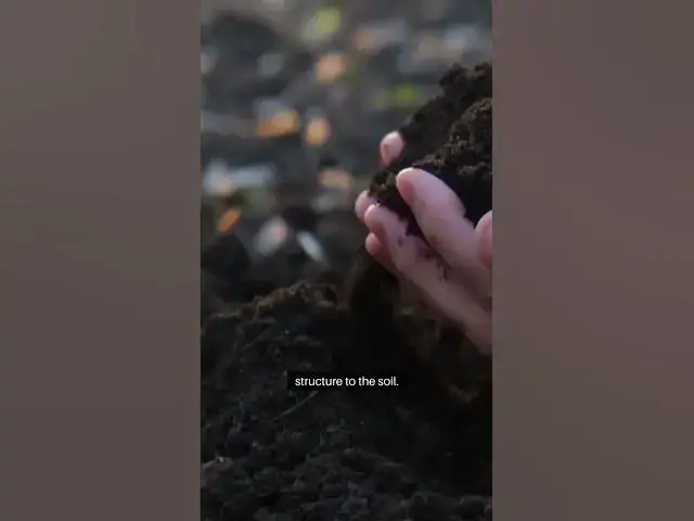Video thumbnail for Ideal Soil for Gardening #soil  #facts #greenthumb #gardeningtipsforbeginners #garden #gardening