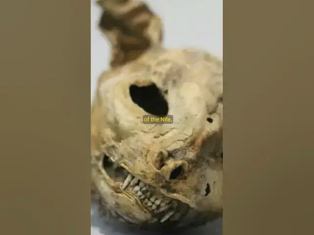 Video thumbnail for THE REAL CURSE of the MUMMY Craze