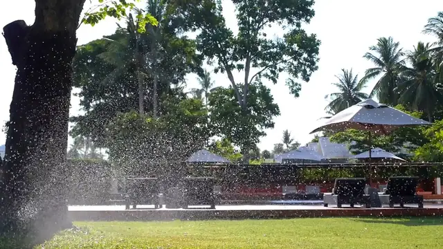 Video thumbnail for Mastering the Sprinkler Valve