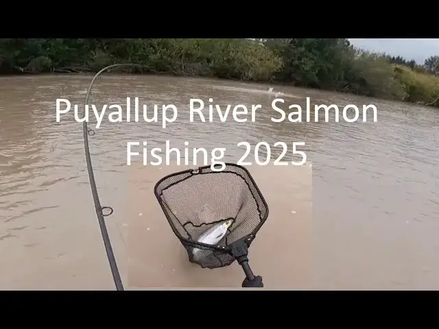 'Video thumbnail for Puyallup River Salmon Fishing 2025 - SIMPLE Setup'