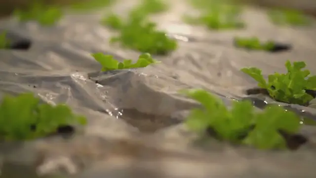 Video thumbnail for How to Create a Functional Minecraft Farm: Beginner to Advanced Techniques