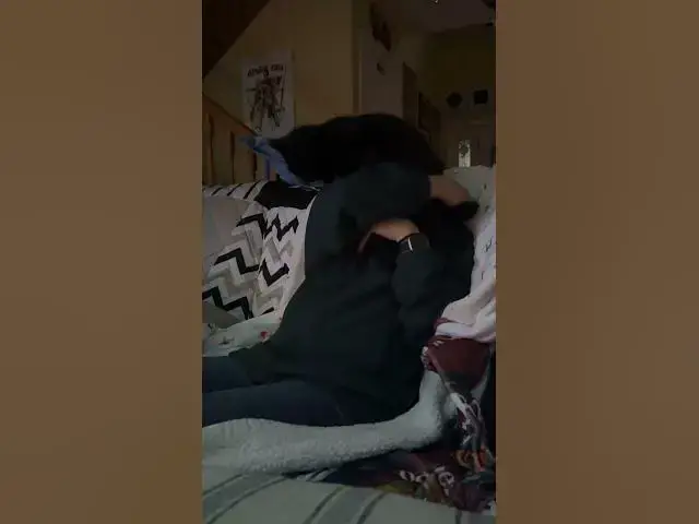 Video thumbnail for My cat loves the Dallas cowboys