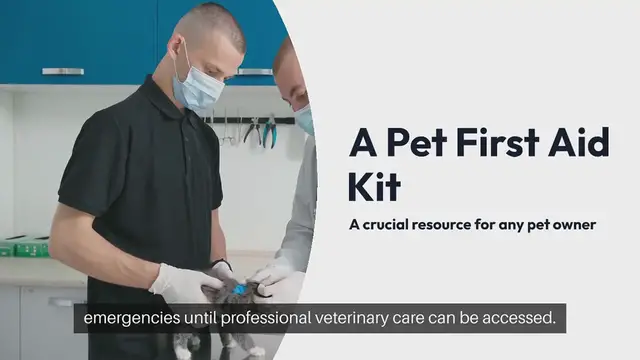 Video thumbnail for Pet First Aid Kit