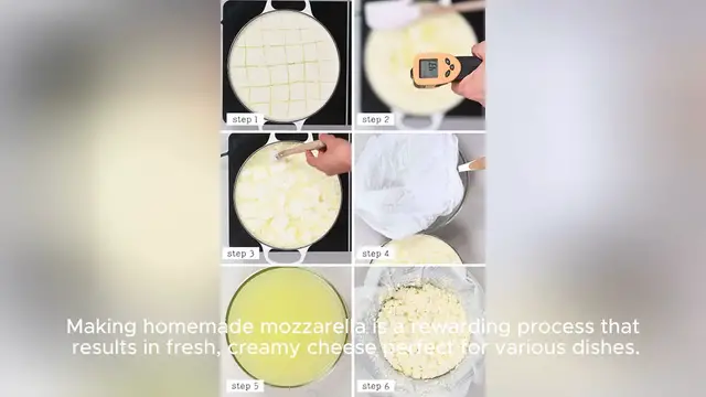 Video thumbnail for mozzarella recipe
