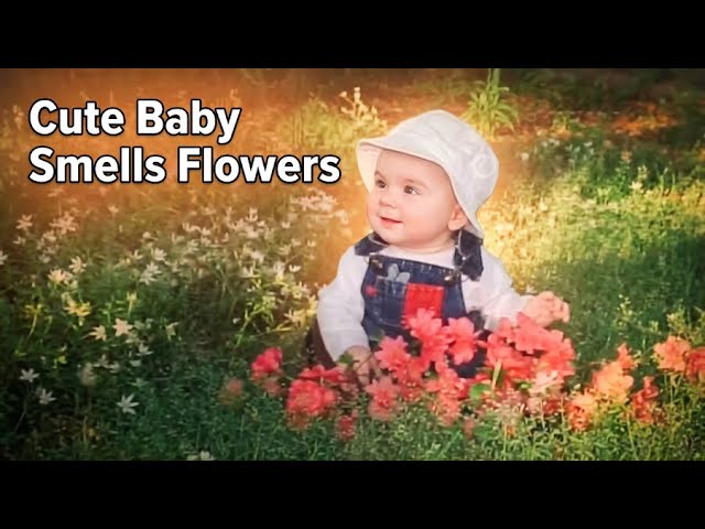 Video thumbnail for Baby Jilly Bean May 2006 4 months old smelling the flowers.