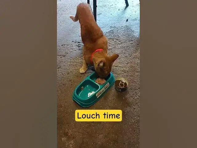 Video thumbnail for JERÓNIMO #song #miku #cover