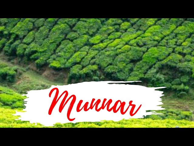 Video thumbnail for Munnar Trip Part-6 | Munnar Tourist Places | മൂന്നാർ യാത്ര #keralatourism