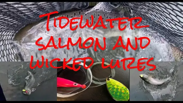 Video thumbnail for Fishing tidewater SALMON with WICKED lures!