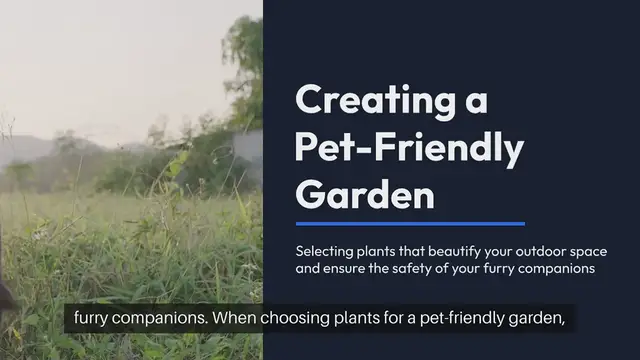 Video thumbnail for Pet-Friendly Garden Plants