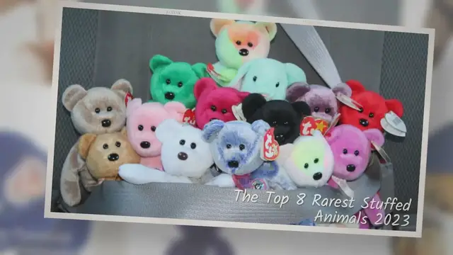 'Video thumbnail for Top 8 Rarest Stuffed Animals 2023'
