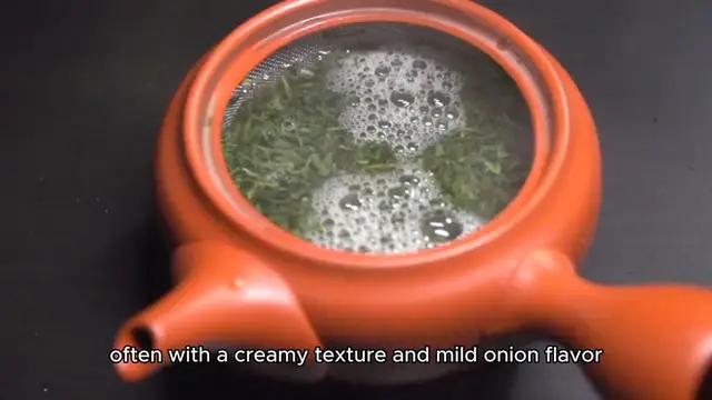 Video thumbnail for leek soup recipe