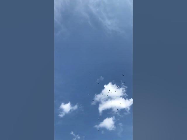 Video thumbnail for February 6, 2024