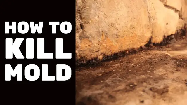 Video thumbnail for BASEMENT FINISHING COURSE VIDEO: How to Kill Mold