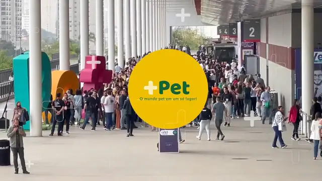 Video thumbnail for As Maiores Novidades do Mercado Pet em 2025: Descubra as Tendências! 🐾✨