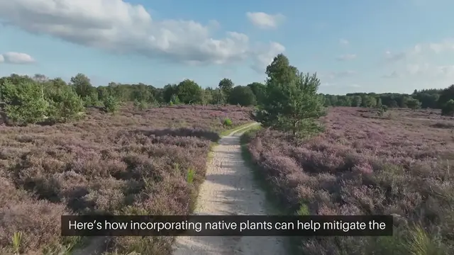 Video thumbnail for Native Plants A Solution to Invasive Species