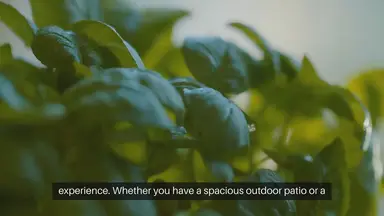 'Video thumbnail for Container Herb Gardening'