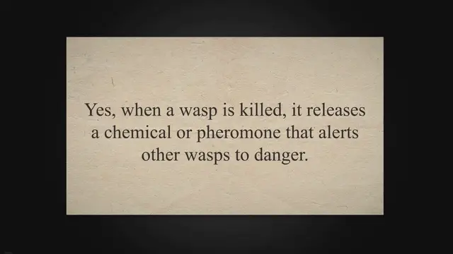 Video thumbnail for Does Killing A Wasp Attract More (4 Methods To Get Rid Of Them)