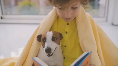 'Video thumbnail for Top 10 Dog Breeds Perfect for Kids!'