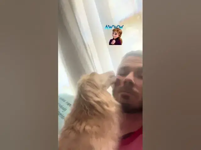 'Video thumbnail for Trying to work on my podcast and my dachshund Winnie does this'