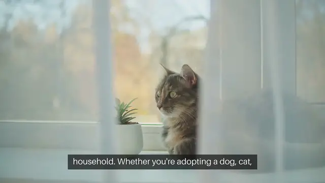 Video thumbnail for Pet Adoption Home Preparation