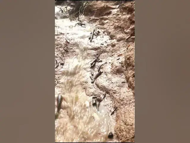 Video thumbnail for A lot fish ep 005  #fish #fishing #fishingvideo