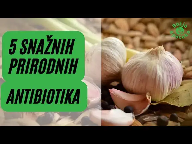 Video thumbnail for 5 SNAŽNIH PRIRODNIH ANTIBIOTIKA (KOJE VJEROVATNO IMATE U KUHINJI) bijeli luk