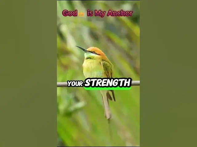 Video thumbnail for When you're at your lowest, God is your Hope