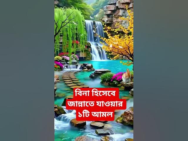 Video thumbnail for বিনা হিসেবে জান্নাতে যাওয়ার ১টি আমল#shorts #viral#sheikh_ahmadullah#islamicalortips