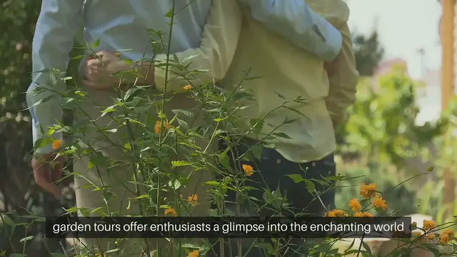 Video thumbnail for Cottage Garden Tours Exploring Inspiration