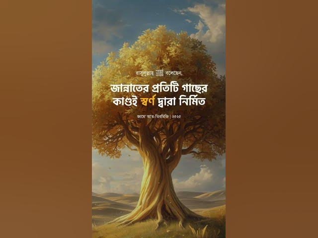 Video thumbnail for বিনা হিসেবে জান্নাতে যাওয়ার ১টি আমল#shorts #viral#sheikh_ahmadullah#islamicalortips