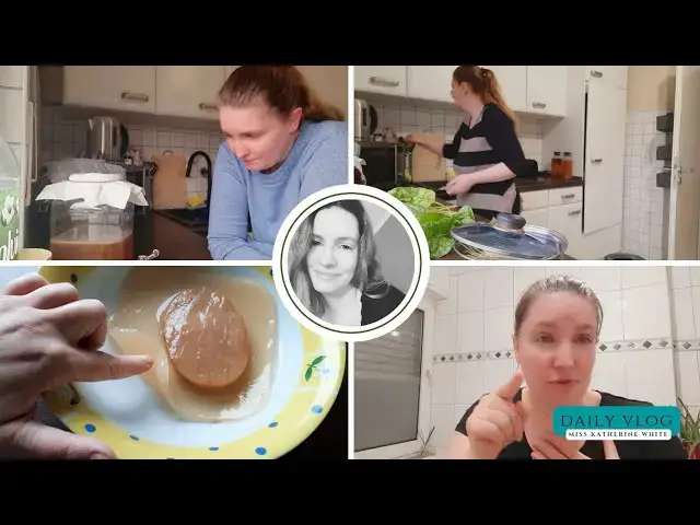 Video thumbnail for Alle Jahresvorätze von 2023/24 geplatzt 😱 Kombucha, Kochen & wie es weitergeht! Mein Daily Vlog
