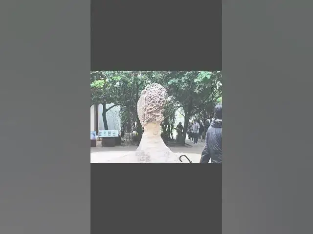 Video thumbnail for Exploring Iconic Taipei: Adventure Around the City!