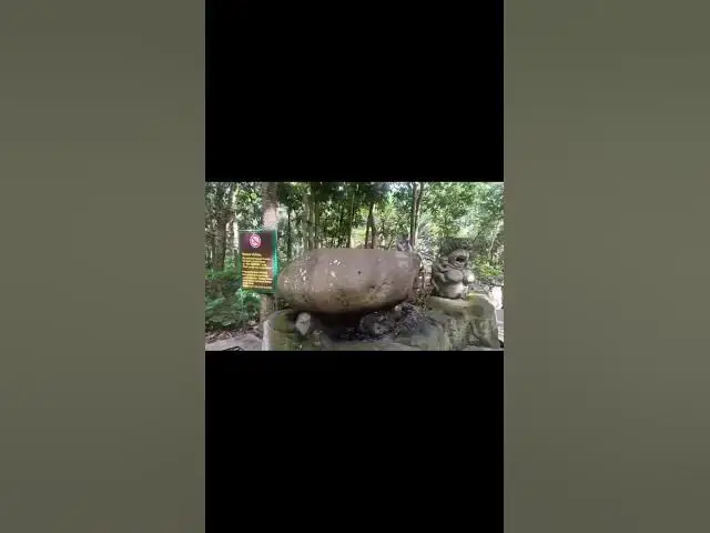 Video thumbnail for 🌳 Dense Forest Interior — Ancient Trees & Wild Macaques, Ubud