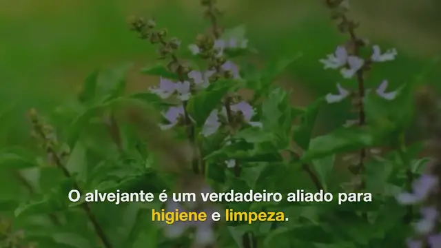 Video thumbnail for Aqui estão todos os usos de Bleach que você provavelmente não conhecia