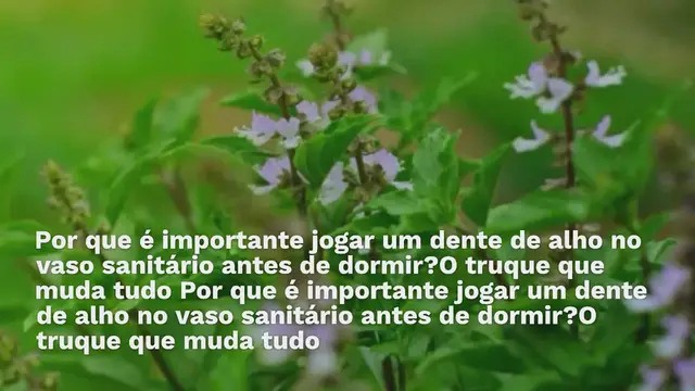 Video thumbnail for Por que é importante jogar um dente de alho no vaso sanitário antes de dormir? O truque que muda tudo