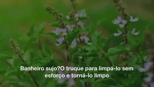 'Video thumbnail for Banheiro sujo? O truque para limpá-lo sem esforço e torná-lo limpo'
