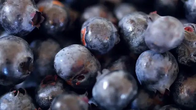 Video thumbnail for Berry Blast Antioxidant - A Powerhouse of Nature’s Best