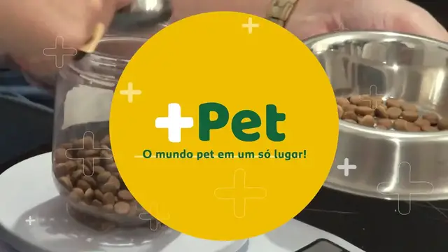 'Video thumbnail for COMO EVITAR A OBESIDADE EM GATOS？'