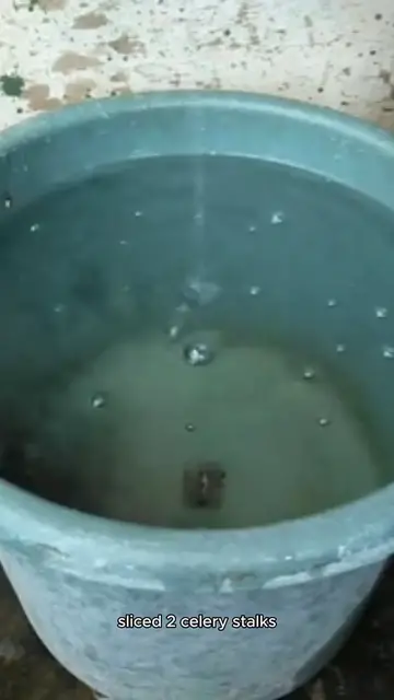 Video thumbnail for recipe homemade chicken soup