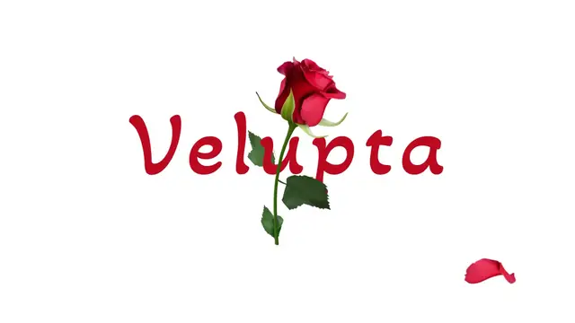 Video thumbnail for A casa modelo.mp4 (teaser oficial).mp4