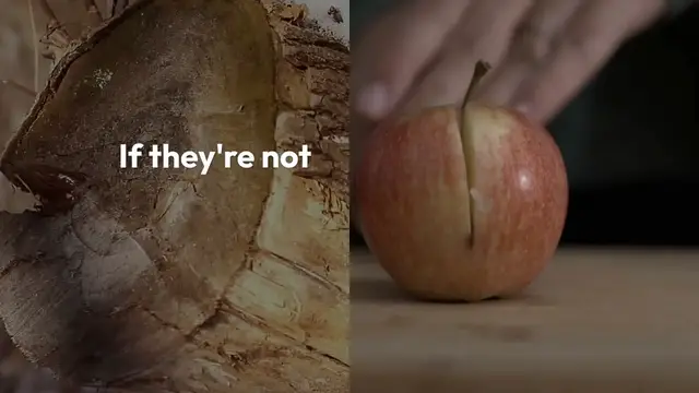 Video thumbnail for Step-by-Step Guide: Crafting a Stunning 3D Paper Apple