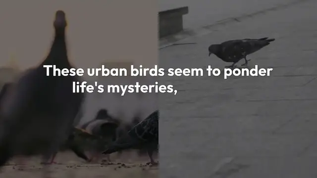 Video thumbnail for What Caught My Eye: Highlights from Episode 2 | December 9, 2024