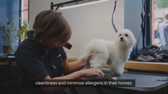 Video thumbnail for Managing Shedding in Pets