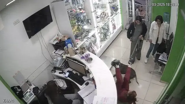 Video thumbnail for Playful dog causes a stir during vet check-up in Yerevan, Armenia