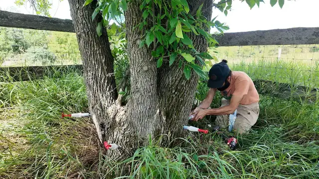 Video thumbnail for Matthew Cremona: Arboretum Update 2026